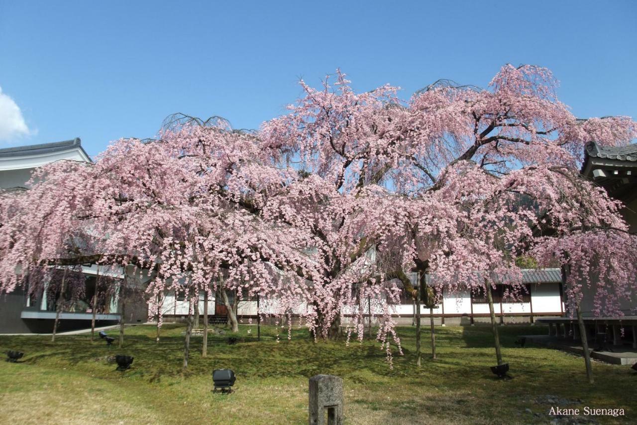 Yoshida * Kyoto